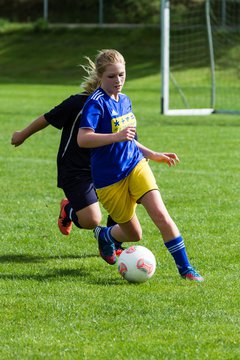 Bild 319 - Frauen TSV Gnutz - SG S�lfeld/Oe/Se/Stu : Ergebnis: 2:3